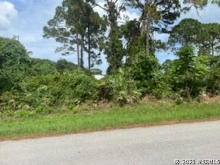Guava Dr., Edgewater, FL 32141