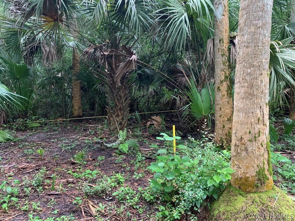 2100 Swoope Dr., New Smyrna Beach, FL 32168
