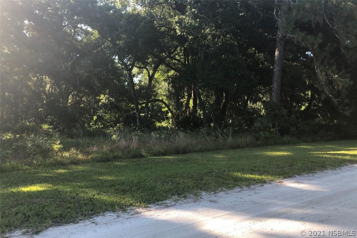4659 Shady Oak Ln., Edgewater, FL 32141
