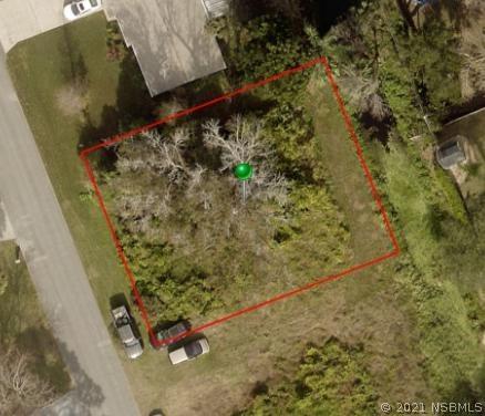 Umbrella Tree Dr., Edgewater, FL 32141