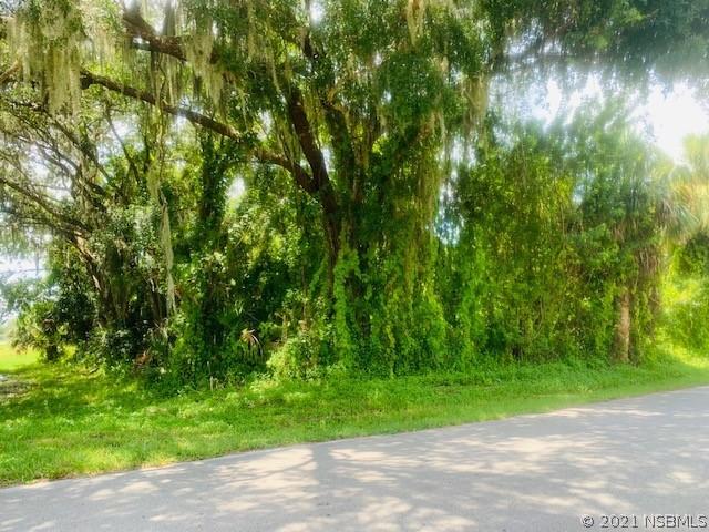 Queen Palm Dr., Edgewater, FL 32141