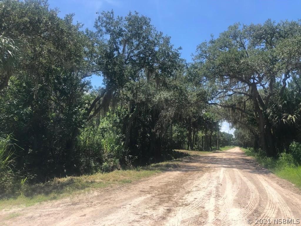 565 Old Dixie Ln., Oak Hill, FL 32759