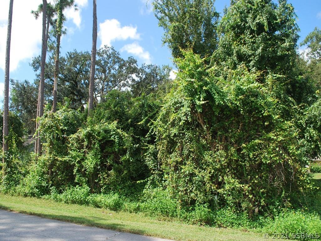 Vista Palm Dr., Edgewater, FL 32132