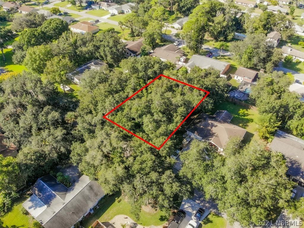 Needle Palm Dr, Edgewater, FL 32141