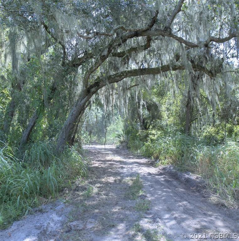 2710 Pearl Lake Tr., New Smyrna Beach, FL 32168