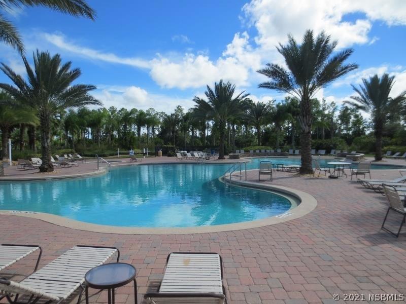 302 Caryota Ct., New Smyrna Beach, FL 3268