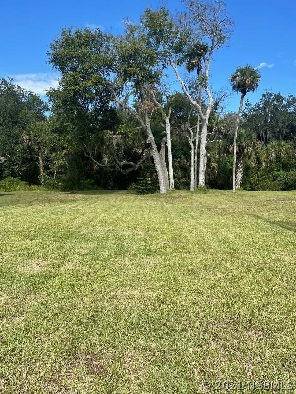 169 Coleman St., Edgewater, FL 32141