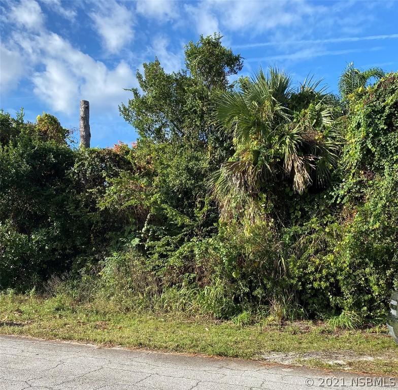 Juniper Dr., Edgewater, FL 32132