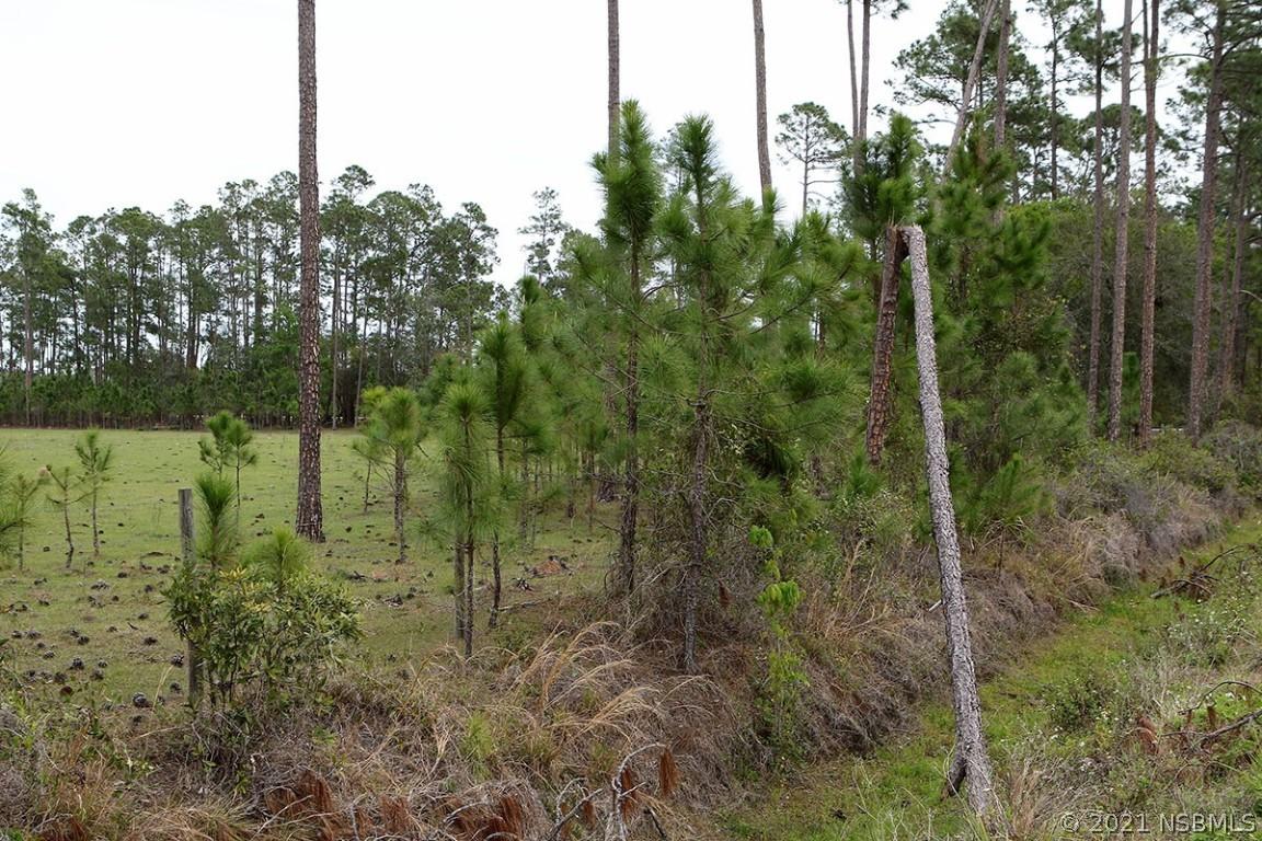 100 Acres Sr 415, New Smyrna Beach, FL 32168
