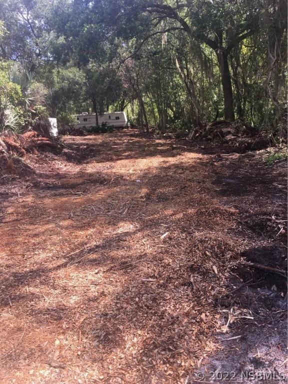555 W Ariel Rd., Edgewater, FL 32141