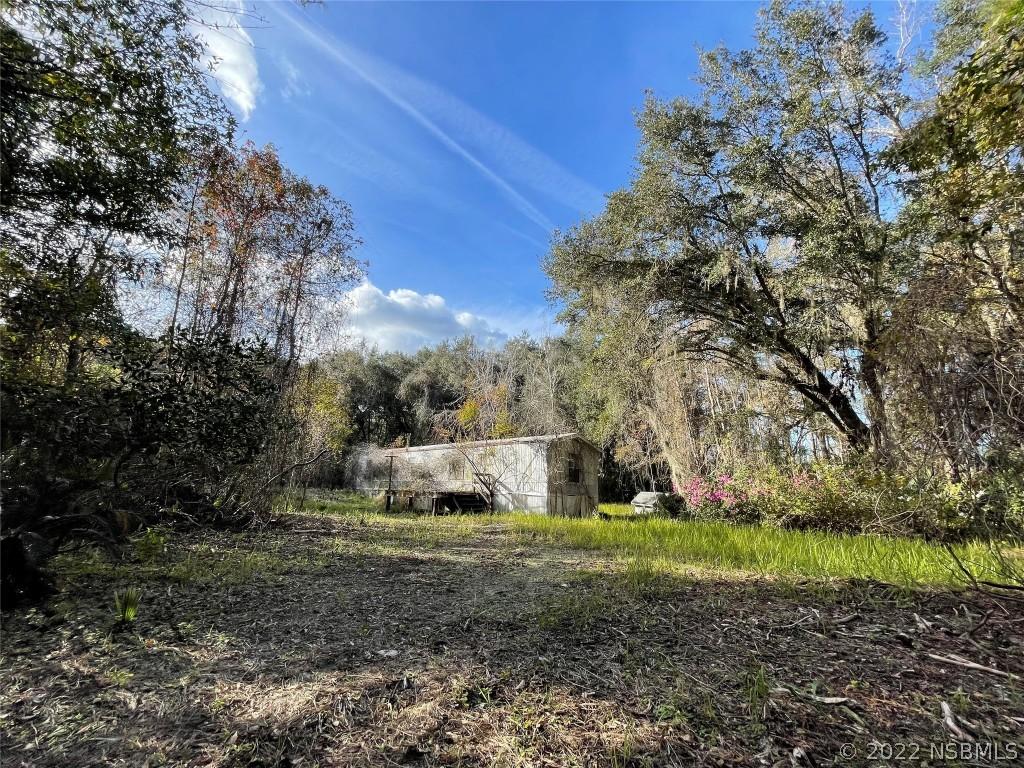 4155 Liza Clinton Rd., Edgewater, FL 32141