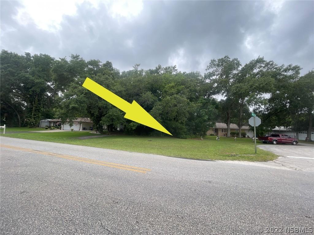 Needle Palm Dr., Edgewater, FL 32132