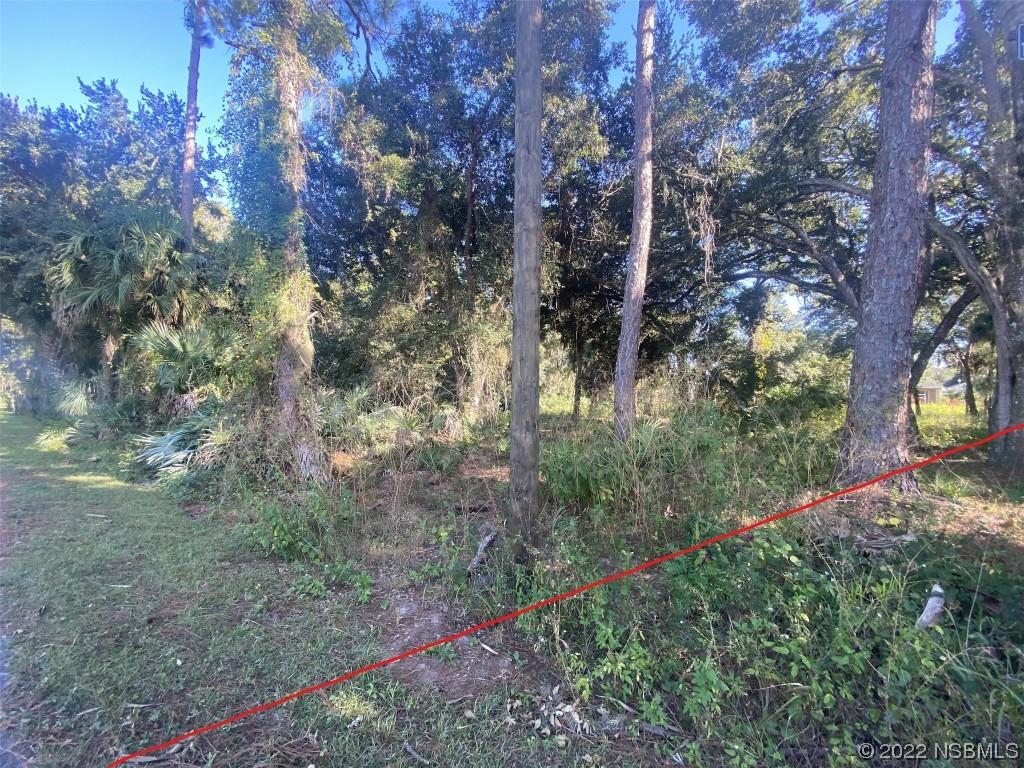 142 Arbor Ln., Edgewater, FL 32141