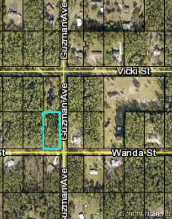 4300 Wanda St., Hastings, FL 32145