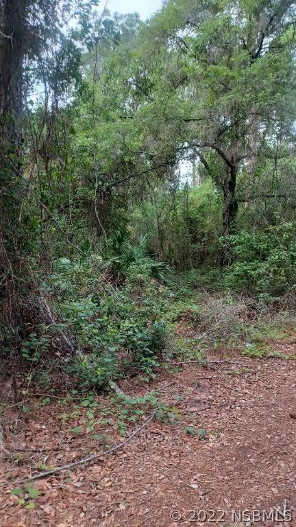 213 Southern Ave., Out Of Area, FL 32112