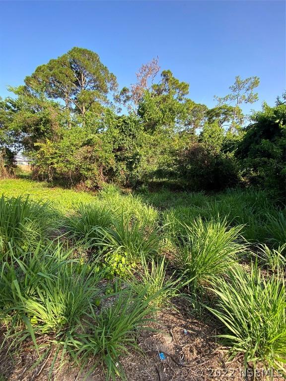 2611 Guava Dr., Edgewater, FL 32141