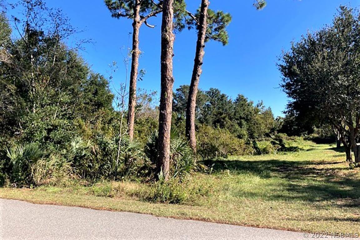 136 Arbor Ln., Edgewater, FL 32141