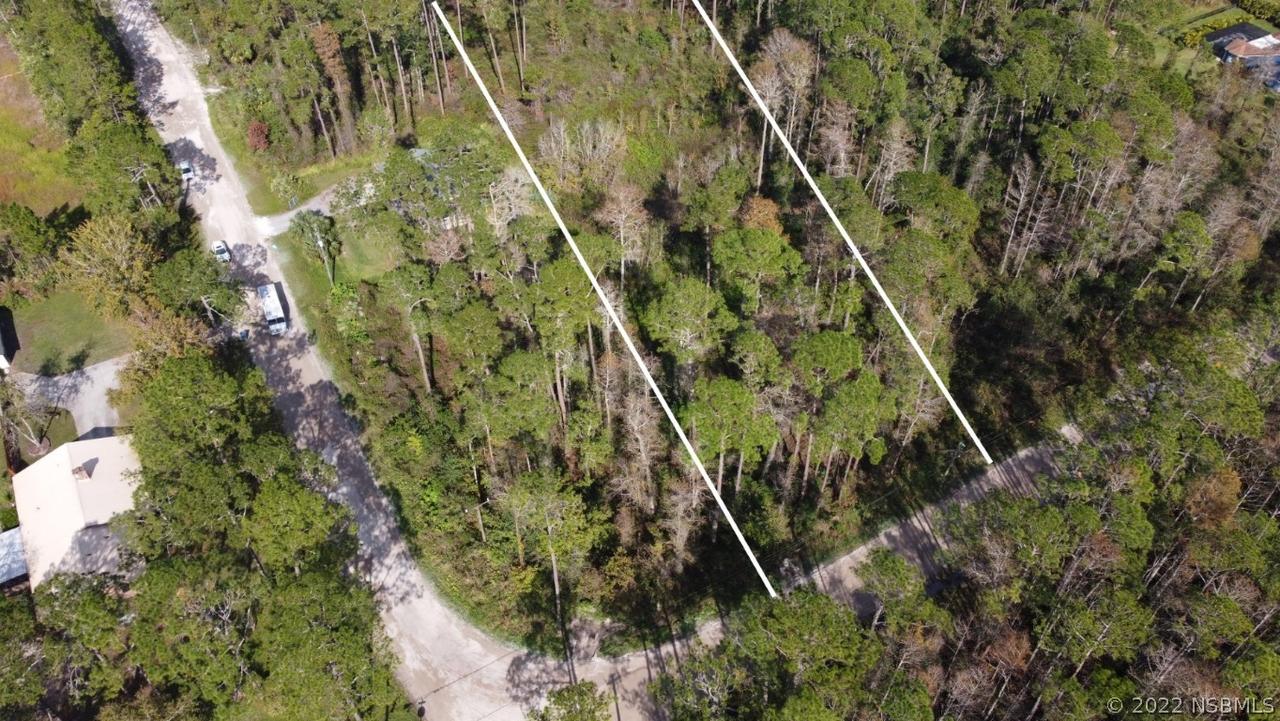 4195 Quail Nest Ln., New Smyrna Beach, FL 32168