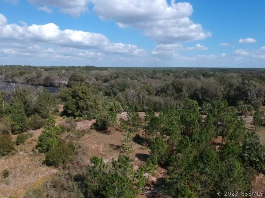 Crooked Mile Rd., Paisley, FL 32767