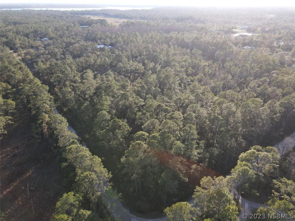 Quail Nest Ln., New Smyrna Beach, FL 32168