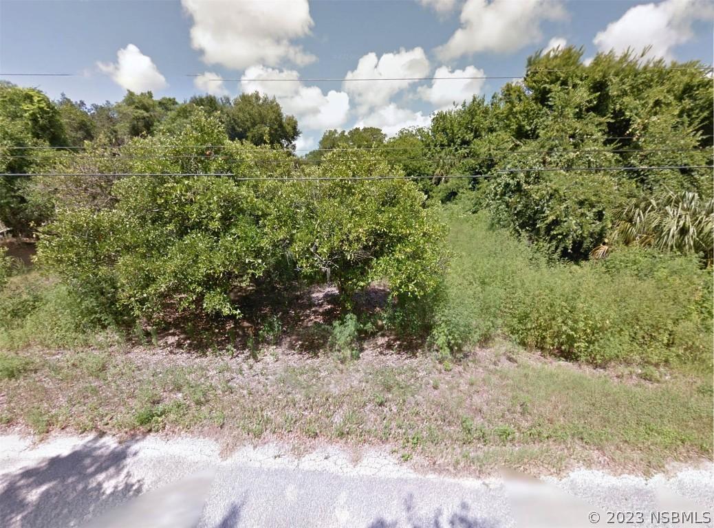 Magnolia, Scottsmoor, FL 32754