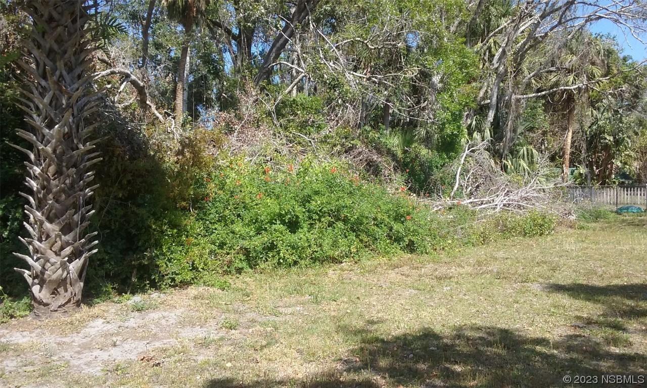 119 Chase Dr., Out Of Area, FL 32189