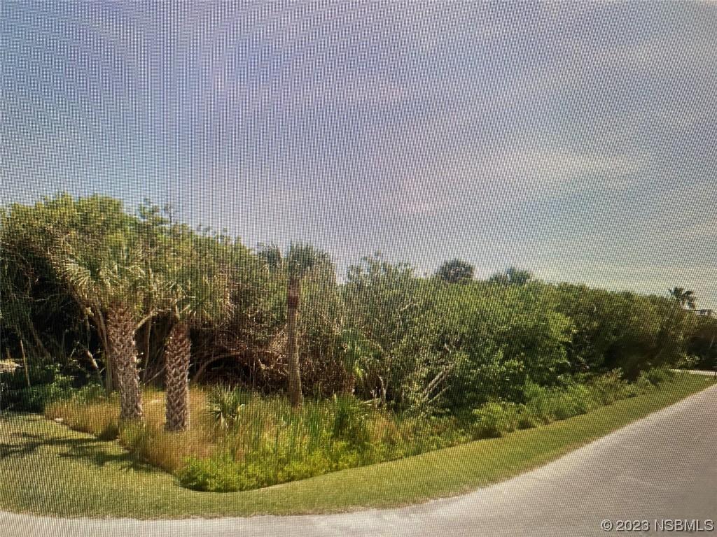 6300 Engram Rd., New Smyrna Beach, FL 32169