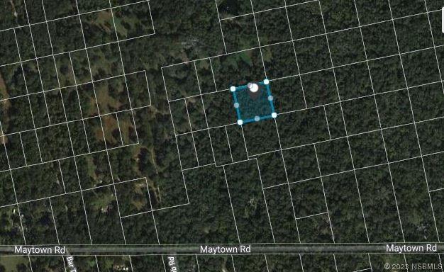 Street, Oak Hill, FL 32759