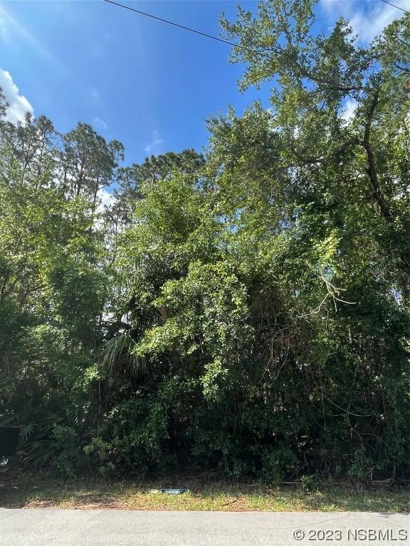 [Address Hidden by Seller], Palm Coast, FL 32137