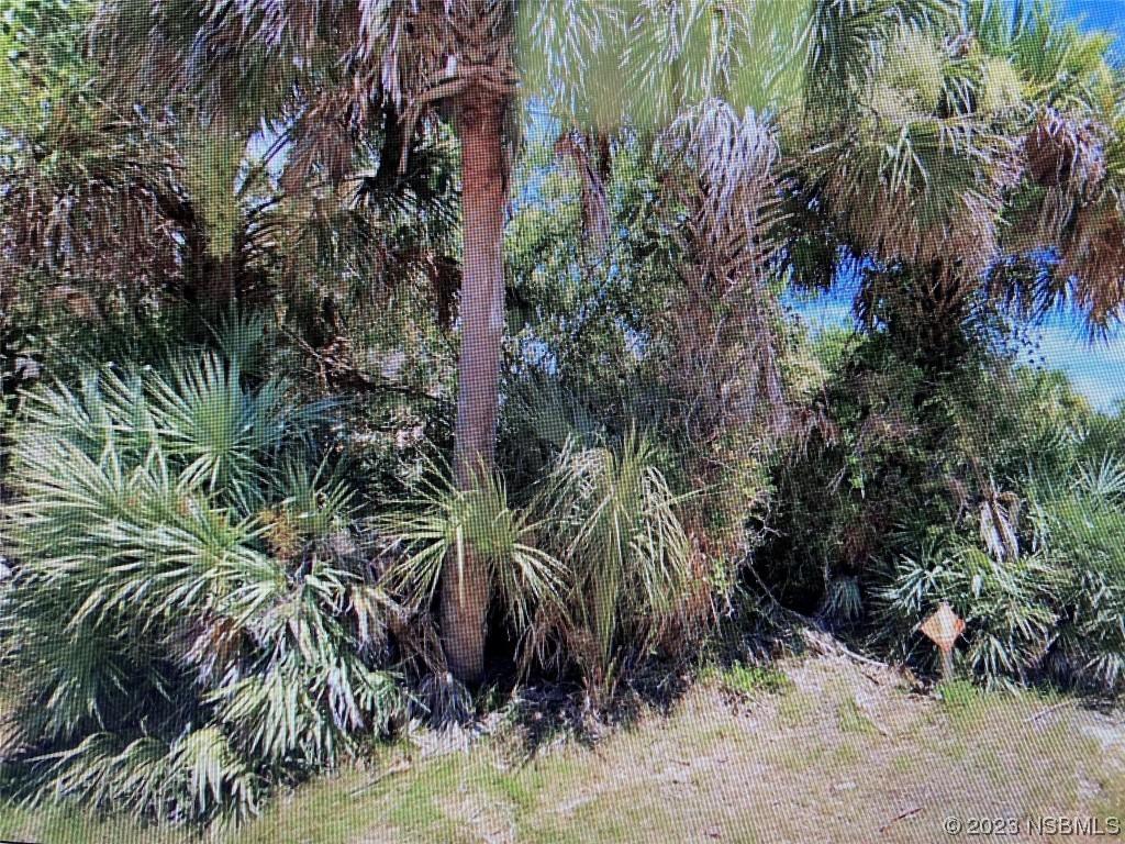 204 Dune Cir., New Smyrna Beach, FL 32169