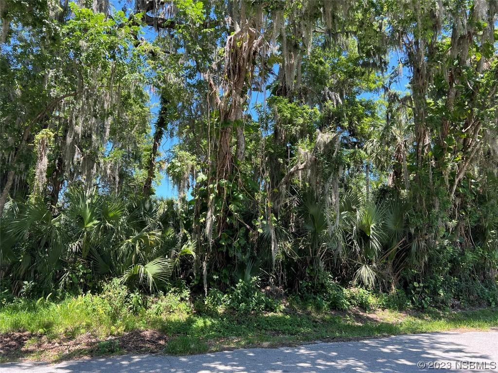 2429 Needle Palm Dr., Edgewater, FL 32141