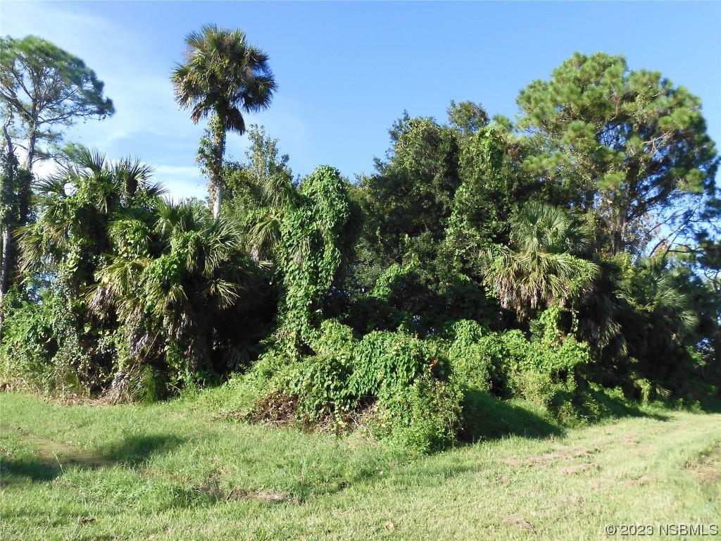 Woodland Dr., Edgewater, FL 32141
