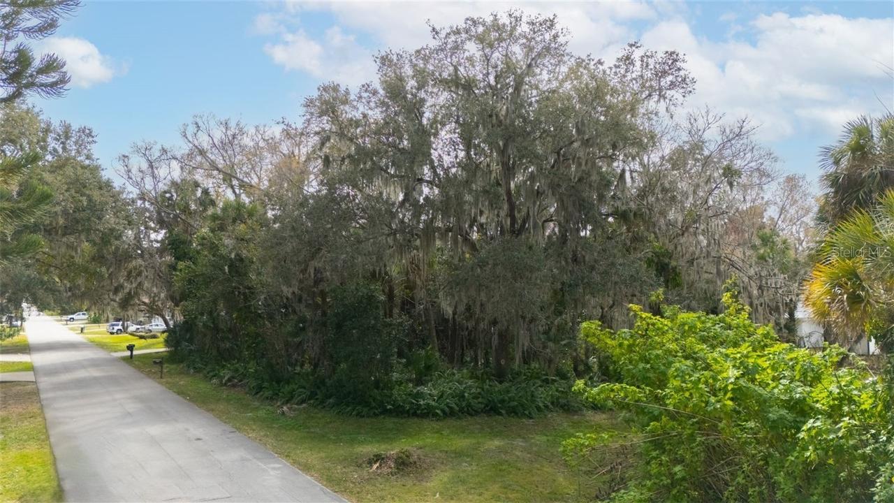 2300 Lime Tree Dr., Edgewater, FL 32141
