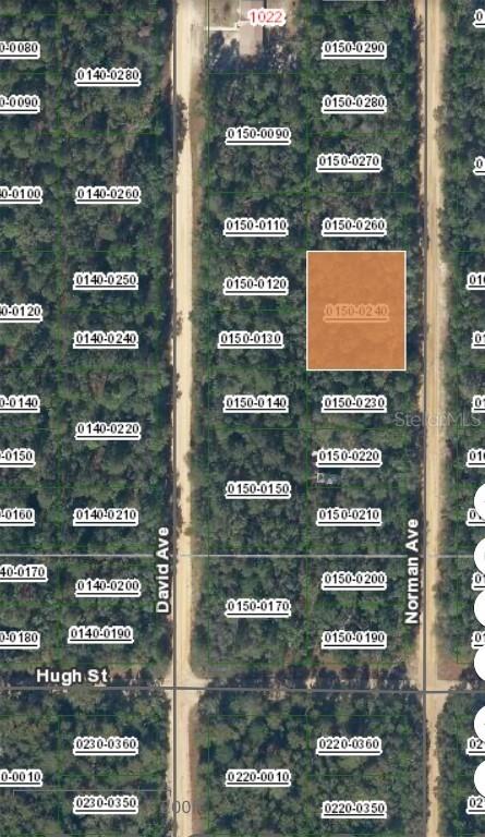 Norman Ave., Interlachen, FL 32148