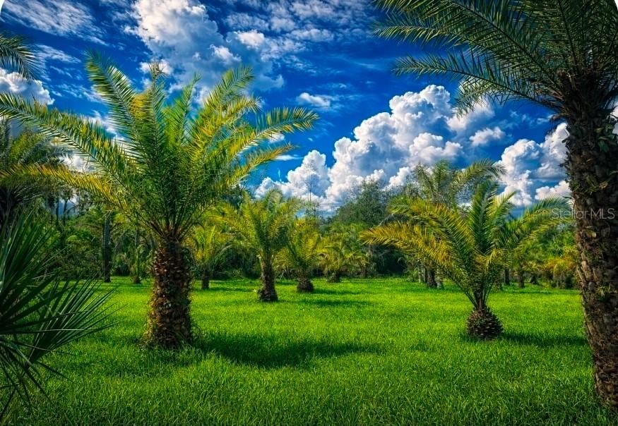 2615 Glencoe Farms Rd., New Smyrna Beach, FL 32168