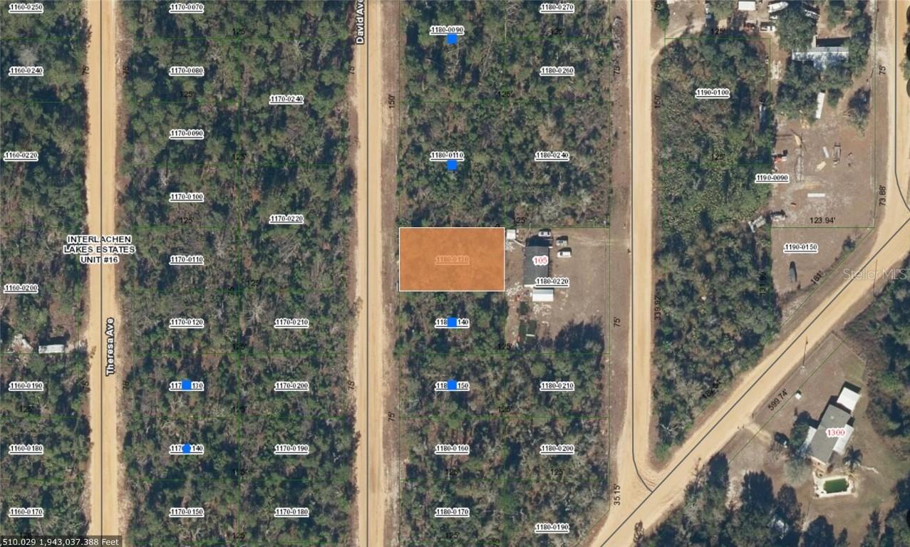 David Dr., Interlachen, FL 32148
