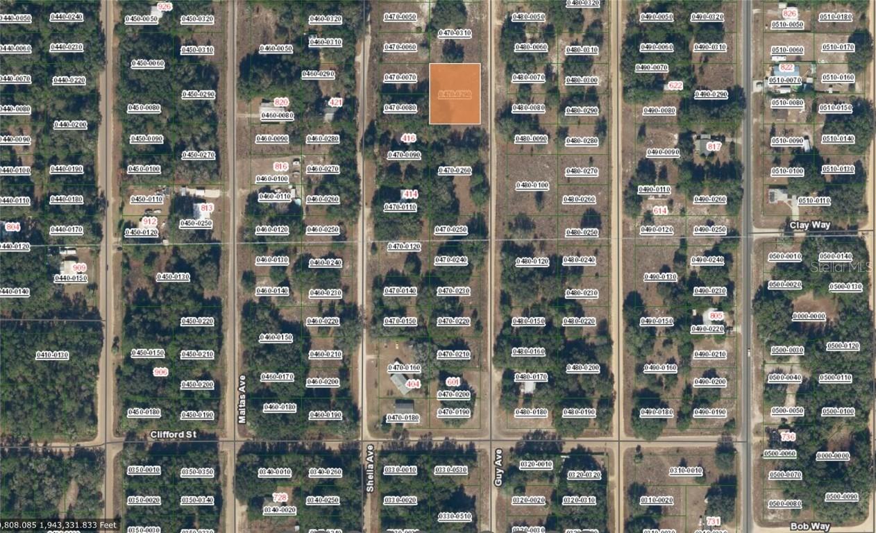Guy Ave, Interlachen, FL 32148