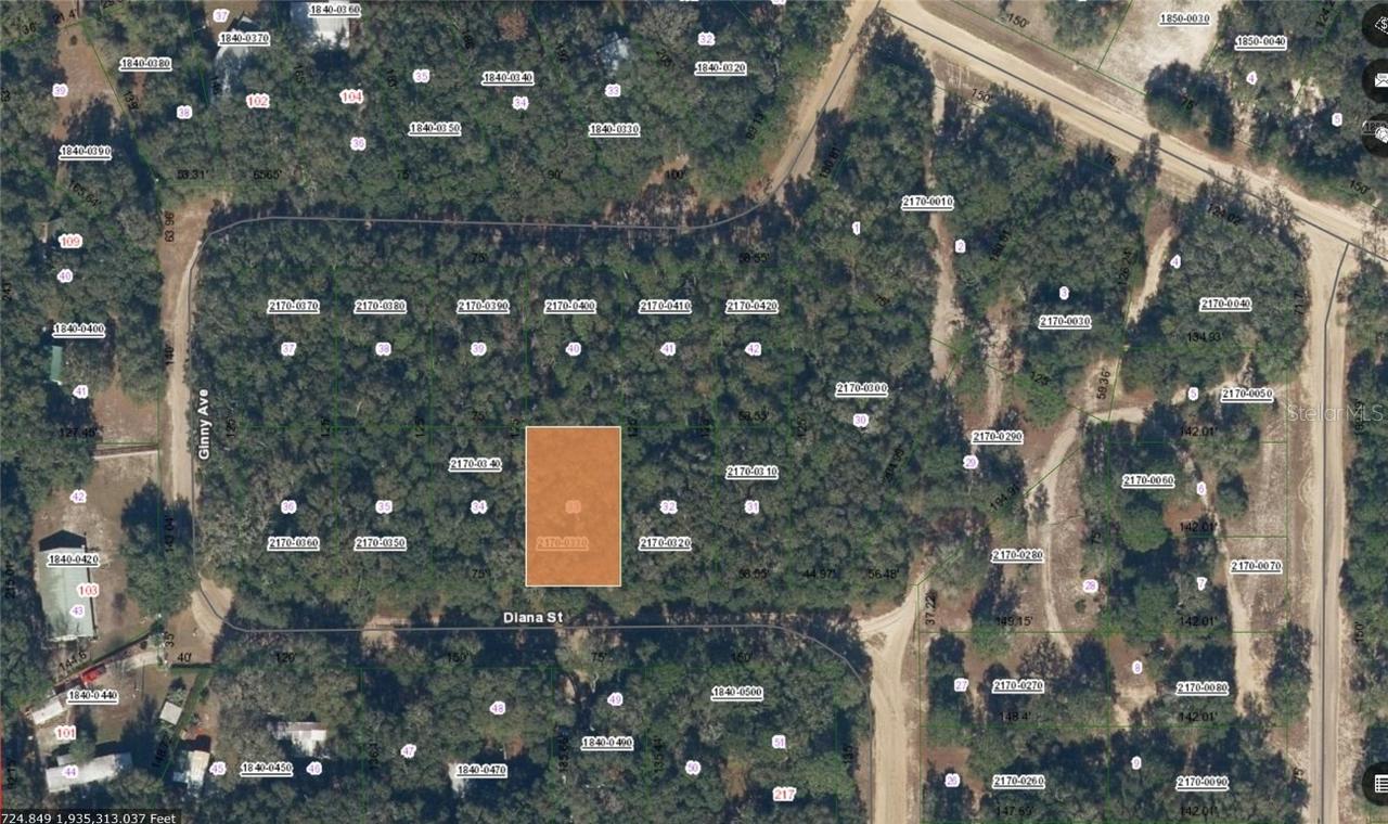 Diana St., Interlachen, FL 32148