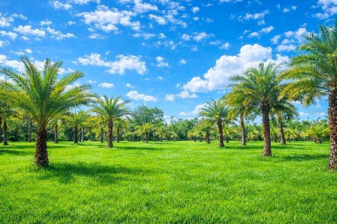 2625 Glencoe Farms Rd., New Smyrna Beach, FL 32168