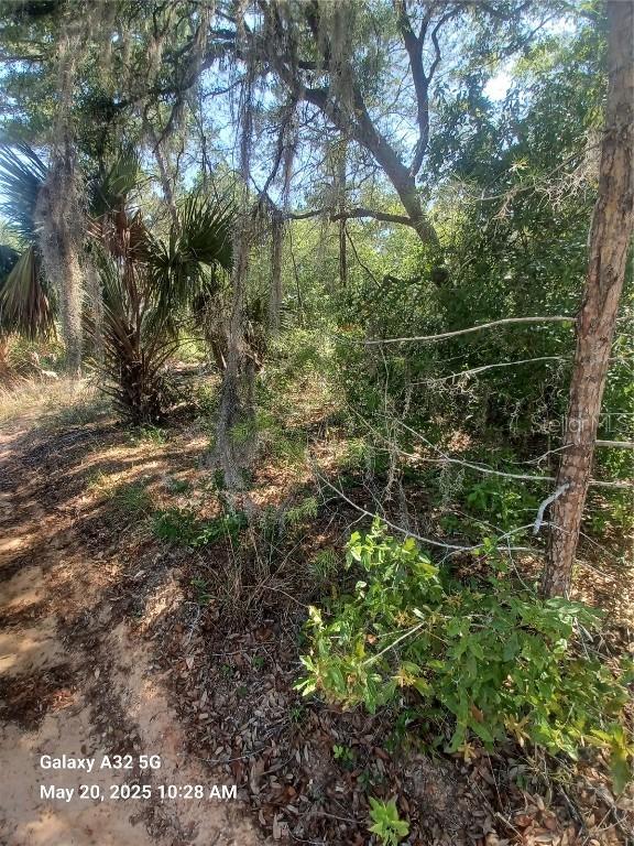 108 Rabbit Track Rd., Satsuma, FL 32189