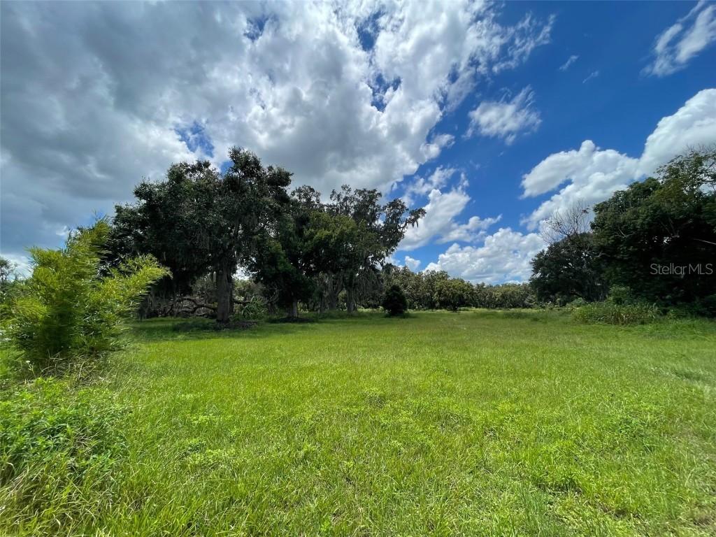 26831 Bloomfield Ave., Yalaha, FL 34797