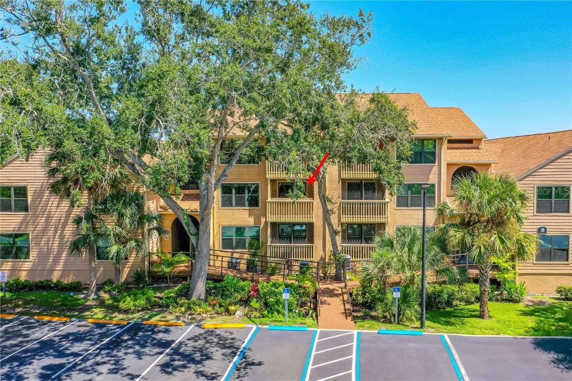 1401 S Palmetto Ave. #807, Daytona Beach, FL 32114