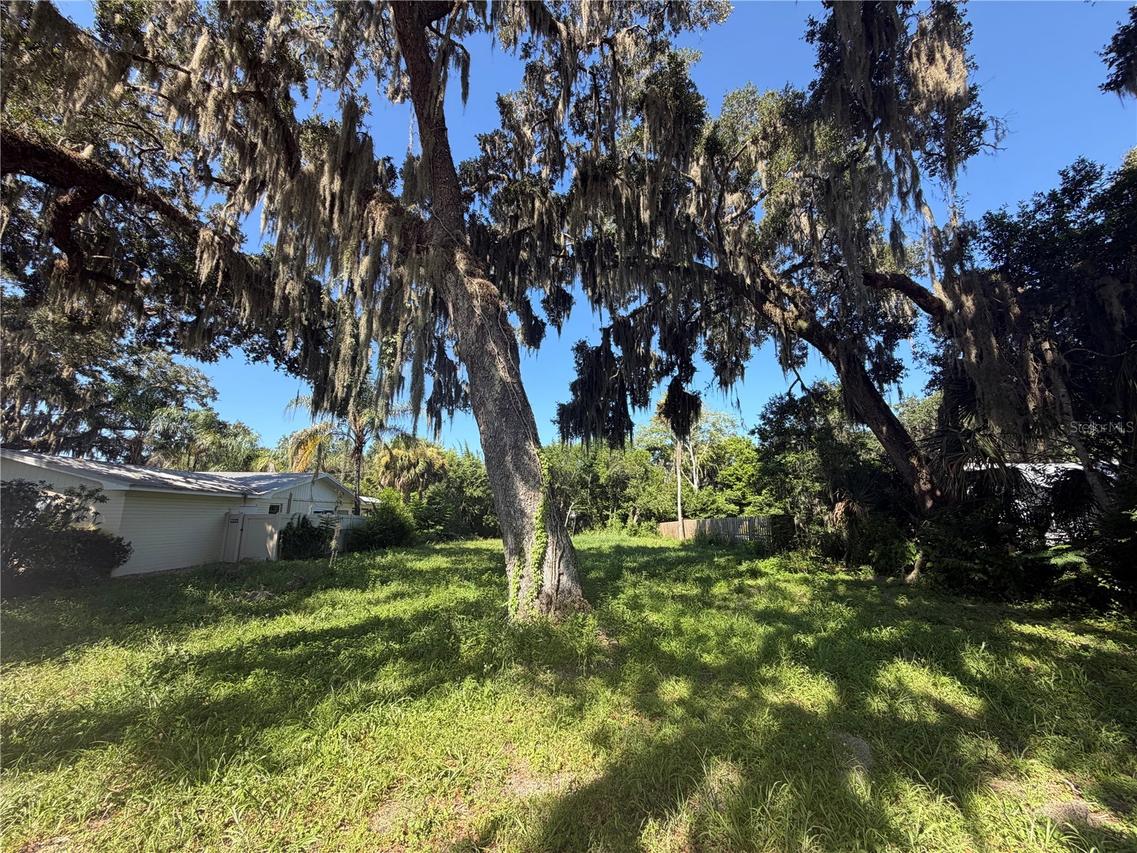 1308 Live Oak St., New Smyrna Beach, FL 32168