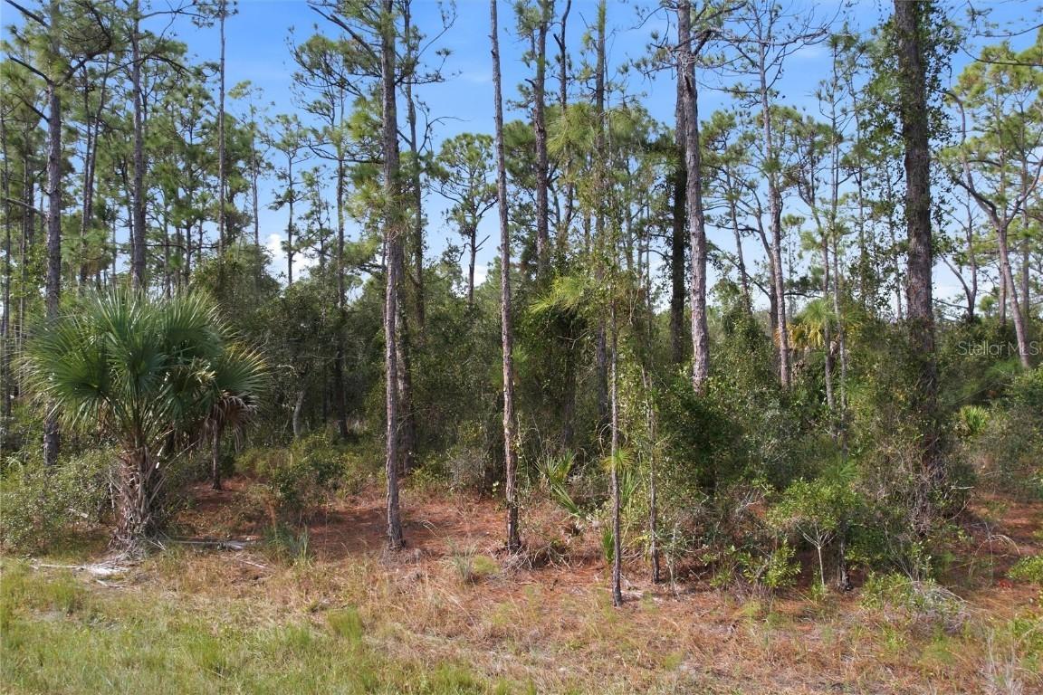 Einstein St., North Port, FL 34291