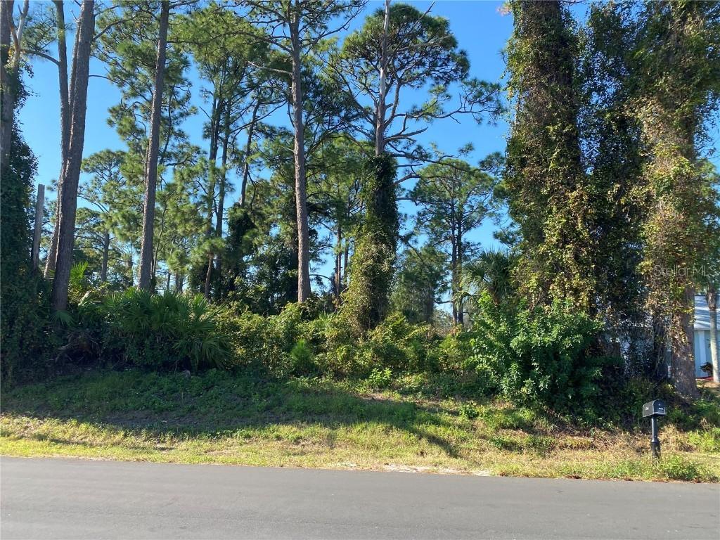 2512 Fern Palm Dr., Edgewater, FL 32141