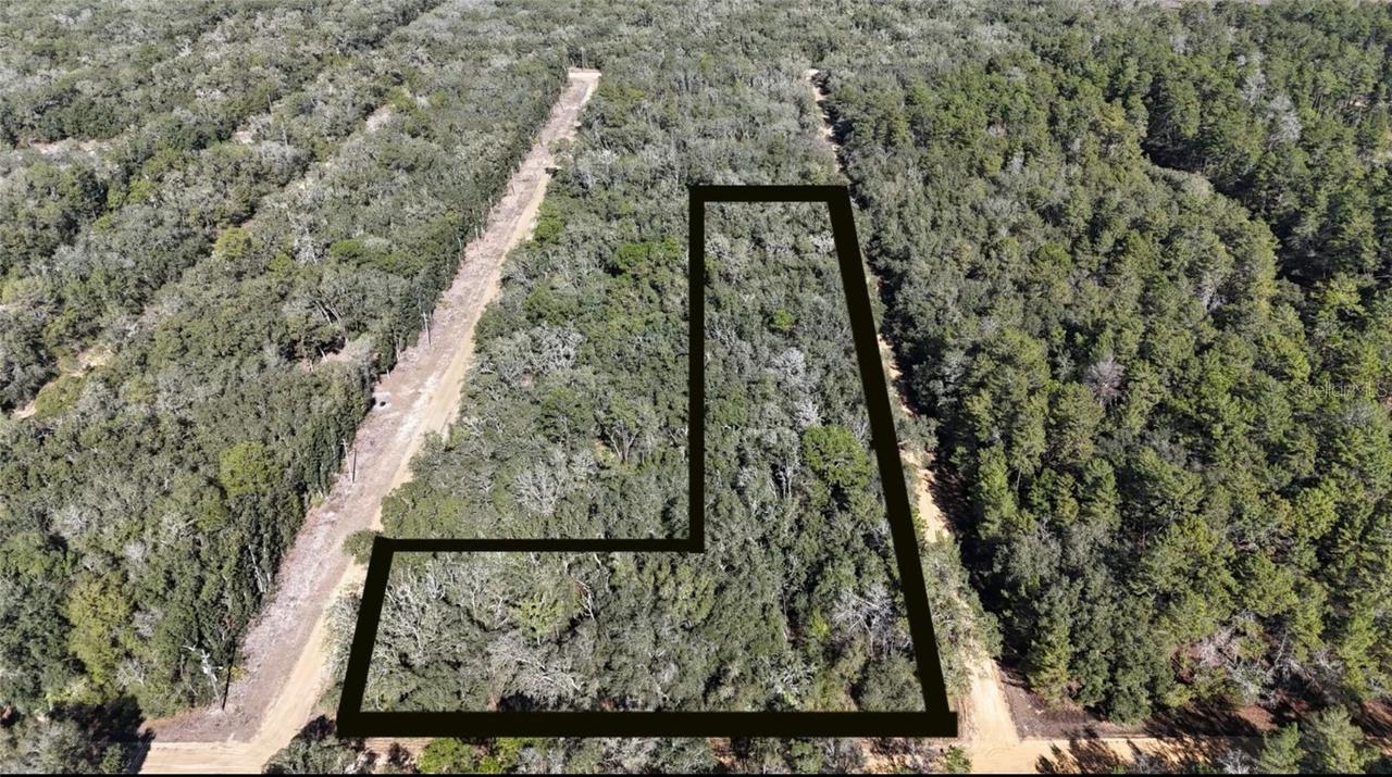 Linda, Interlachen, FL 32148