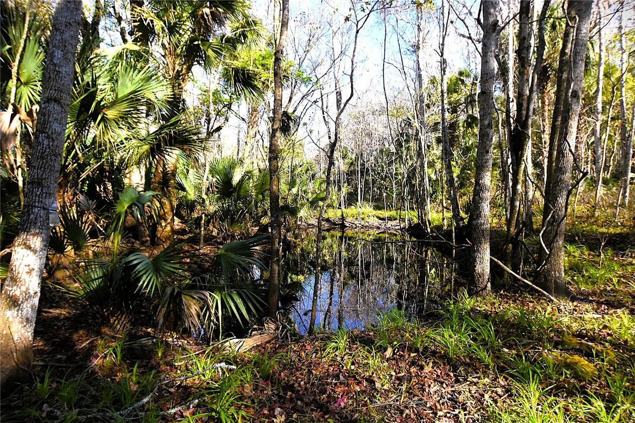 4721 Lingo Grove Rd., Edgewater, FL 32141