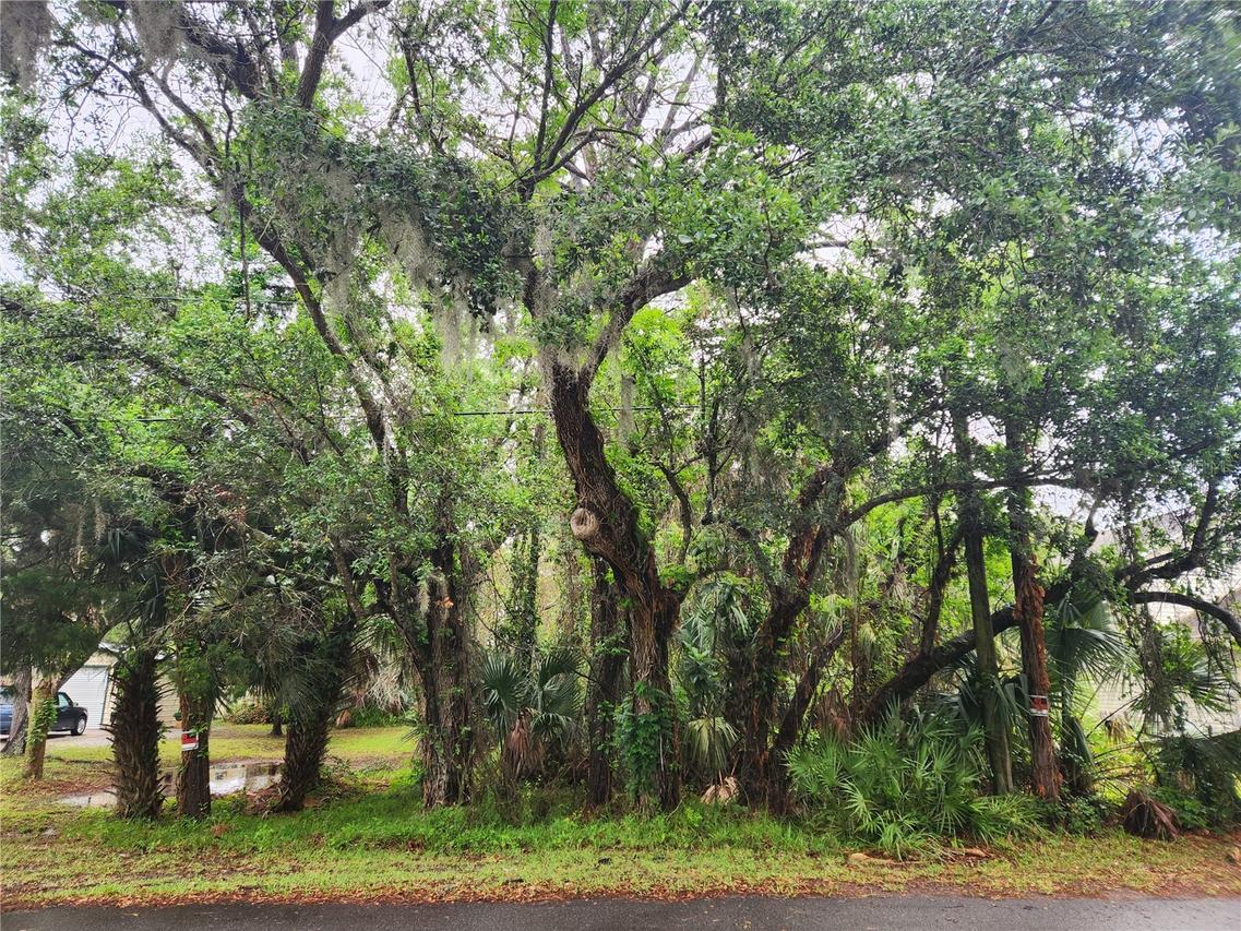 Brookline Ave., New Smyrna Beach, FL 32168