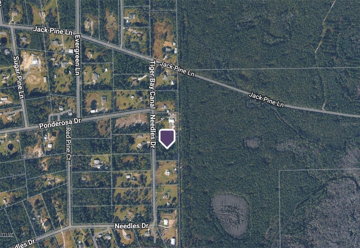 442 Needles Dr., Ormond Beach, FL 32174