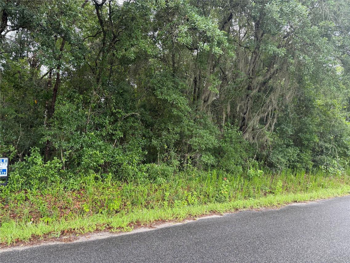 241 Dog Branch Rd., East Palatka, FL 32131